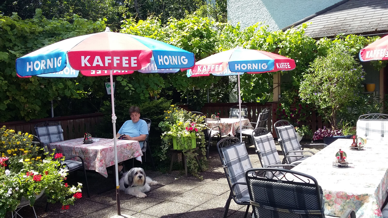 Gastgarten mit Gästen im Admonterhof