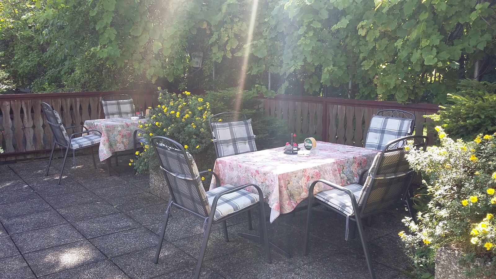 Sonniger Gastgarten